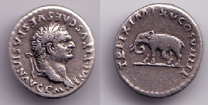 dg19