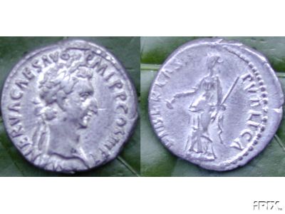 Nerva